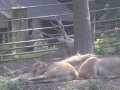 IMGP0782.JPG